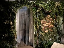 ヌマール バクの森/お部屋の入り口