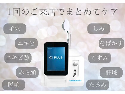アマリリス(Amaryllis)の写真