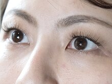 ランプ(LAMP)/キ-プ力抜群!Greatラッシュ120束