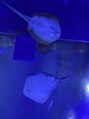 ディー ネイル アイラッシュ ヤバ(DEE nail×eyelash yaba)&nbsp;水族館大好きです！推しはエイです