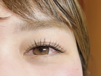 アイラッシュモアナ(eyelash MOANA)/フラットラッシュ140本