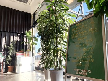 スタンド(STAND)/