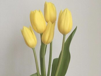 ヨヘン 芦屋店(YoHen)/