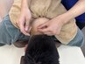 【首肩集中】上半身鍼＋姿勢調整¥4,950☆