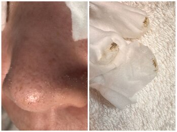 サラグランデ(Sara Grande)/え?こんなに!