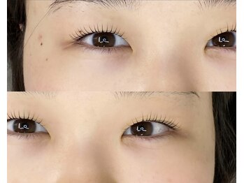 ダリア(Dahlia)/ラッシュリフト