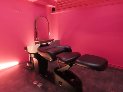 メリー(Merry)の写真