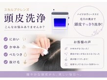 フランセスグレース(Frances Grace)の雰囲気(汗や年齢で気になる頭皮の匂いをケア。梅雨時期におすすめ!)