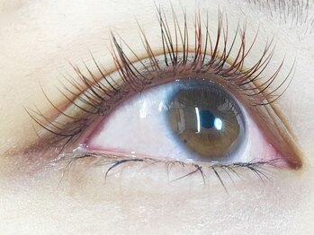 ミニョンアイラッシュデザインサロン 金剛店/Mignon's Color Collection