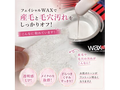 メイリリー(Maylilly)の写真