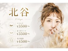 レディ(Lady)
