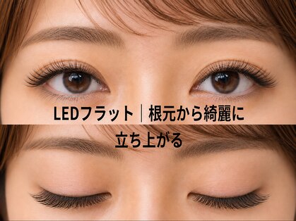チック(chick)の写真