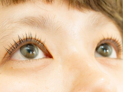 アイラッシュ サード(Eyelash third)の写真