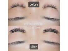 フーフロー(Fooflow)/PERFECT LASH120束