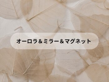 シオネイルサロン 下北沢2号店(sio.nailsalon)/オーロラ&ミラー&マグネット