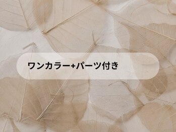 ワンカラー+パーツ付き