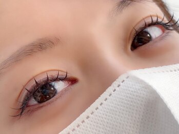 プロフーモ(PROFUMO)/ダブルフラットラッシュ200本