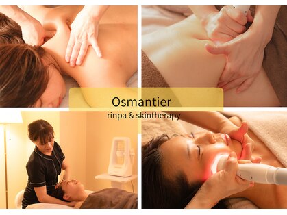 オスマンティエ(Osmantier)の写真