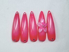 スカルプ定額
