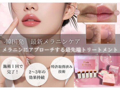クレビア(CREBIA)の写真