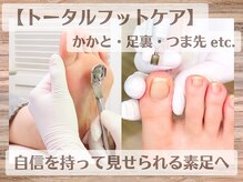 ルーム ノヘア(Room nohea)