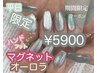 【●D/P担当●】ハンド+フット★ワンカラー/マグネット/オーロラ¥6900