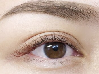 ミニョンアイラッシュデザインサロン 金剛店/+カラー 【ワインレッド】