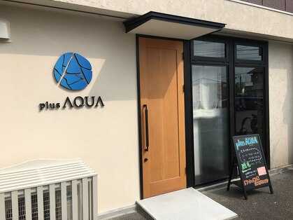 アクア(AQUA)の写真