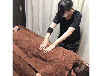 癒しの小鳥/疲労回復の定番コース