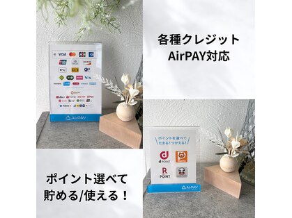 モンシュシュ(Monchouchou)の写真