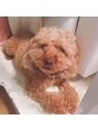 スワニーネイル(Swany nail)&nbsp;愛犬♂うちの三男坊1番手をやいています