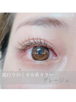シリーラッシュ 自由が丘南口/フラットカラーエクステ♪