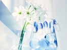 6月 シンプル
