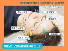 ケーナイン(K-nine)