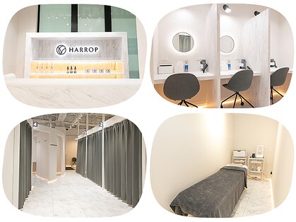 ハロップ 綱島店(HARROP)の写真