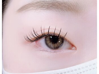 美曜日/フラットラッシュ束感１00本