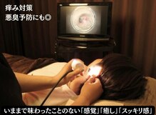 ラウレア クマモト(Laule'a kumamoto)