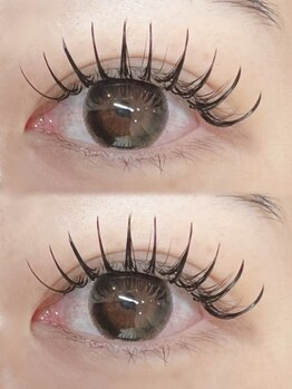 ハウオリ(Hau'oli)/ダブルフラット