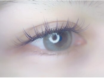 美曜日/カラーラッシュ１２０本