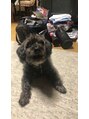 ビオラス 太田店 うちの犬の口、ブラックホール!