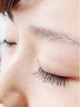 ハピネス(HAPPINESS)/フラットラッシュ100本