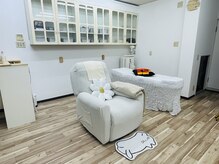カワイイヤサン マツゲ ト イロイロ(kawaiiyasan matsuge to iroiro)の雰囲気（かわいいで溢れる、癒やし空間でございます）