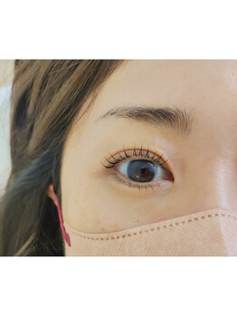 ネリネ(Nerine)/お目元ぱっちり