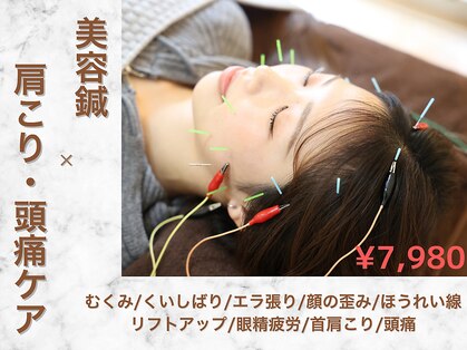 ハリベアー(HariBear)の写真