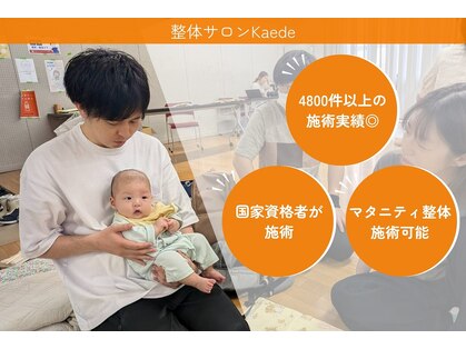 カエデ(Kaede)の写真