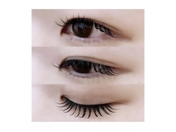 ハウス(HAUS.)/〈フラットラッシュ 120本〉