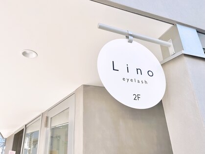 リノ(Lino)の写真