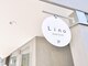 リノ(Lino)の写真
