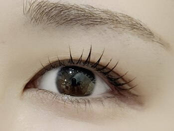 シエル(Ciel by Luxe)/韓国式まつ毛パーマ