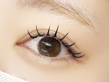 インザピンクリリー(in the pink LILY)/バインドロック120束